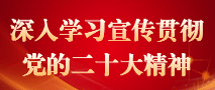 深入学习宣传贯彻党的二十大精神