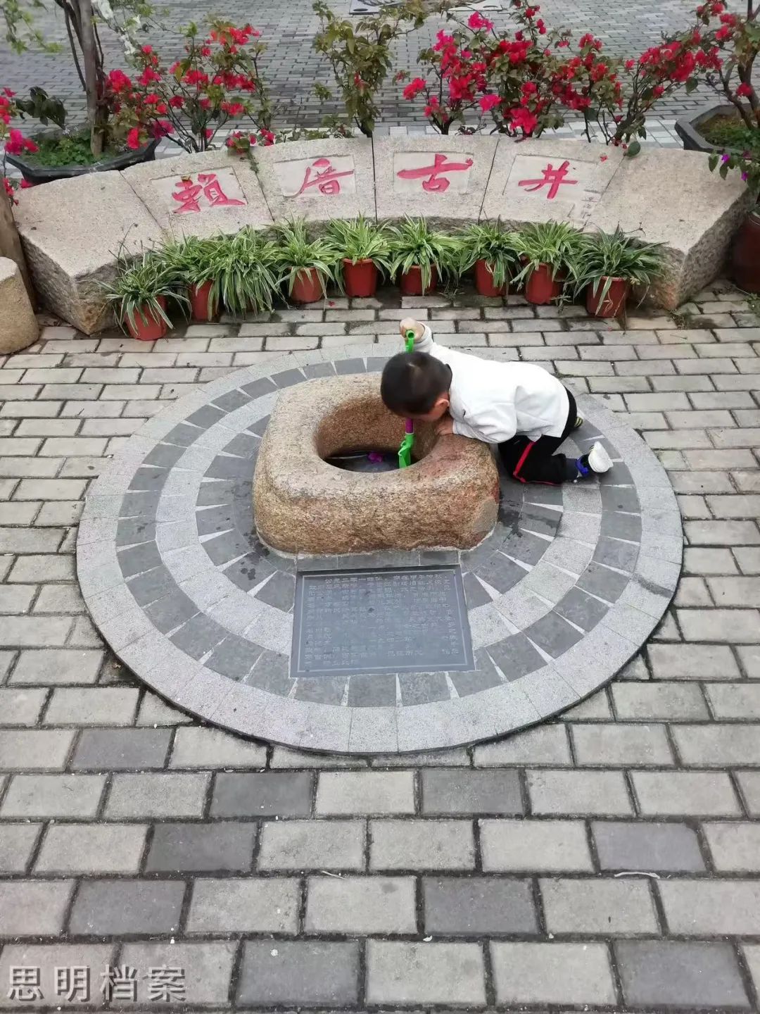 1735867177242109.jpg